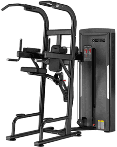 Gym dip and pull-up exercise machine.