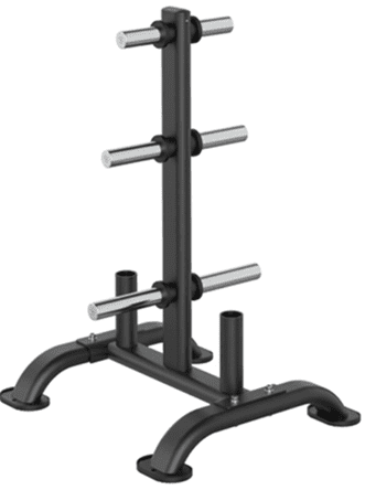 Weight plate storage rack with multiple pegs.
