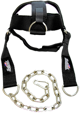 Black dog harness with chain leash and clips.