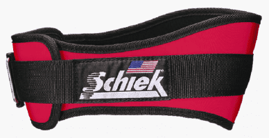 Schiek 2004