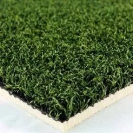 Solid Green Solid Green