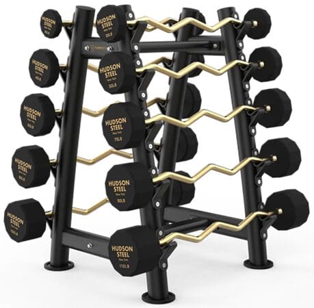 Black and gold dumbbell rack for weight training.